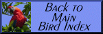 Back to Birds Index