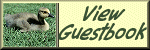 View Button